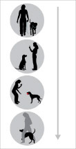 Patento Pet IMBAY IMBAY INTERIVARE LONGE LONGE ROOD (IMBAY IMBAY INTERIVA IL GUARDA LUNGO XXL)