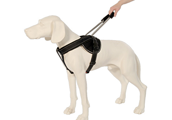 Patento Pet Jockey Harness integrate long leash rood (Jockey Harness integrate long leash rood XXL)