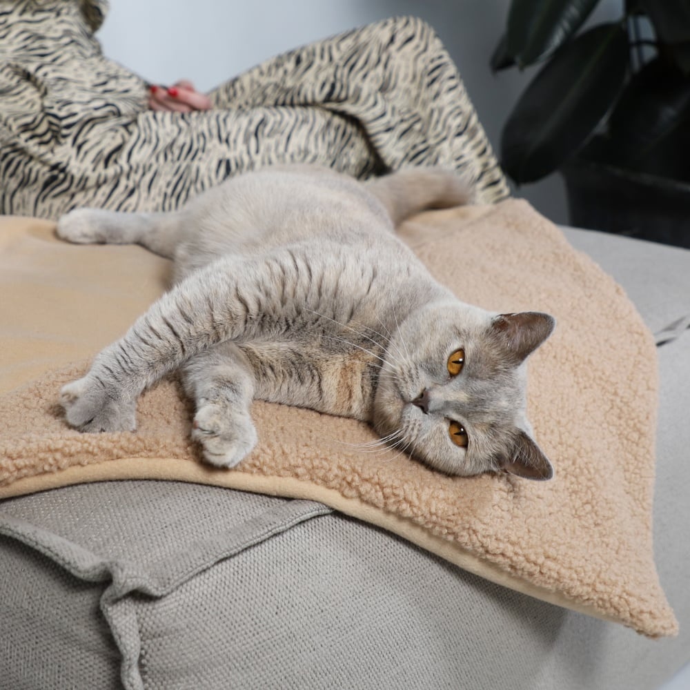Hoopo Tri Cat Blanket (Tri Brown)