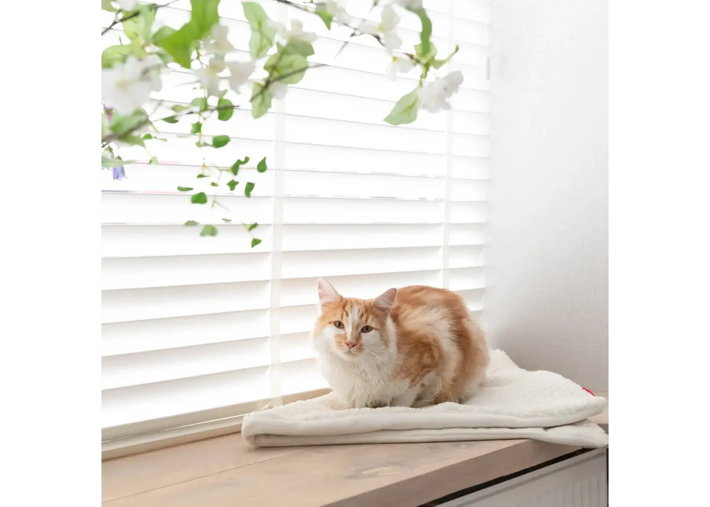 Hoopo Tri Cat Blanket (Tri Brown)