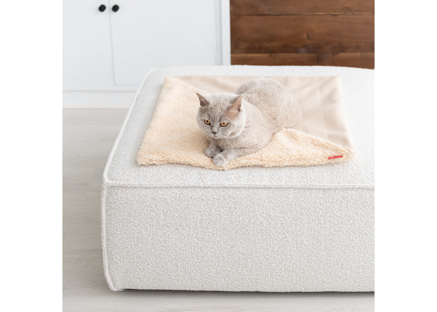 Hoopo Hoopo Tri Cat Blanket (Tri champagne) Dimensions. 60 x 60 cm