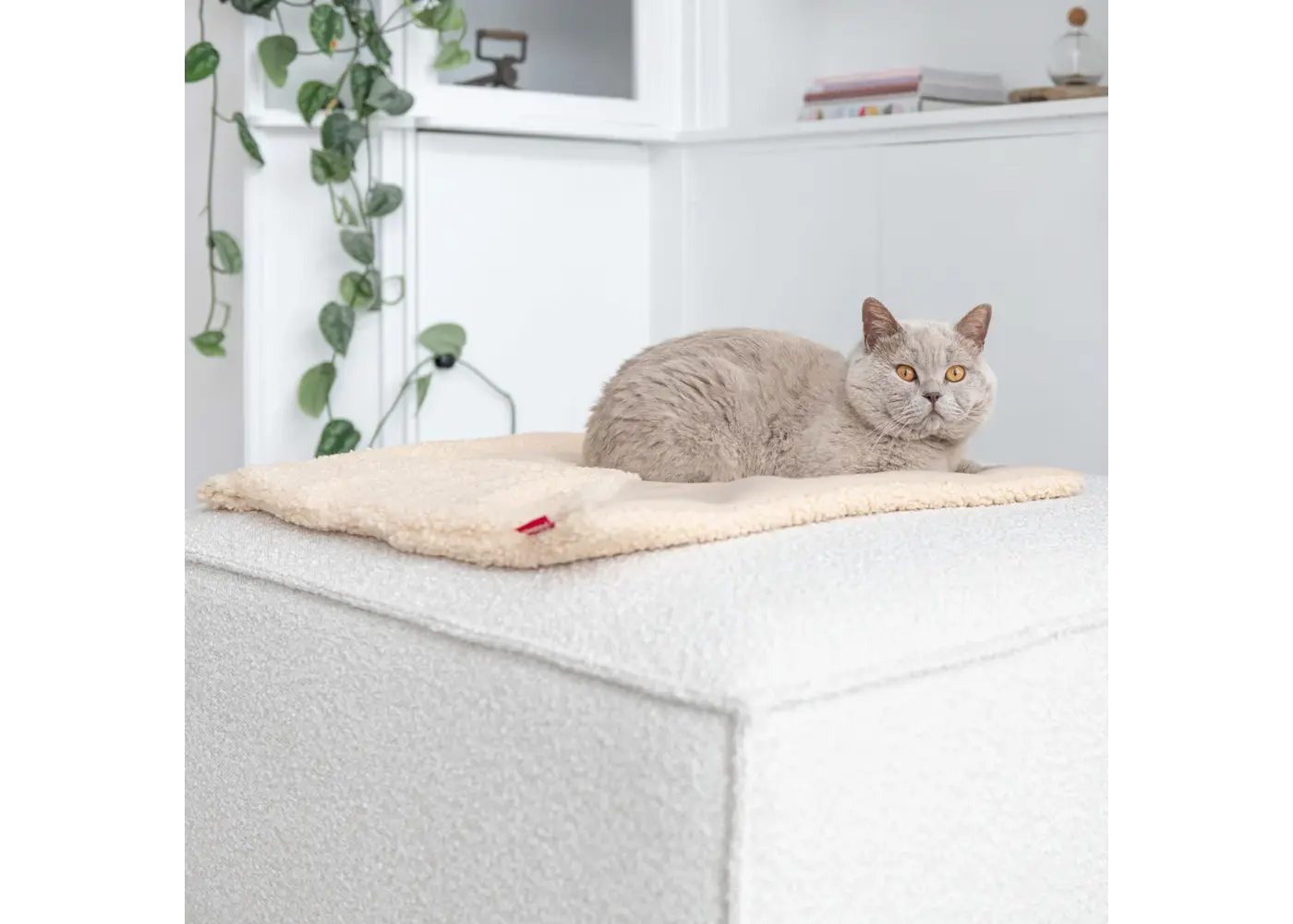 Hoopo Tri Cat Blanket (Tri Grey)