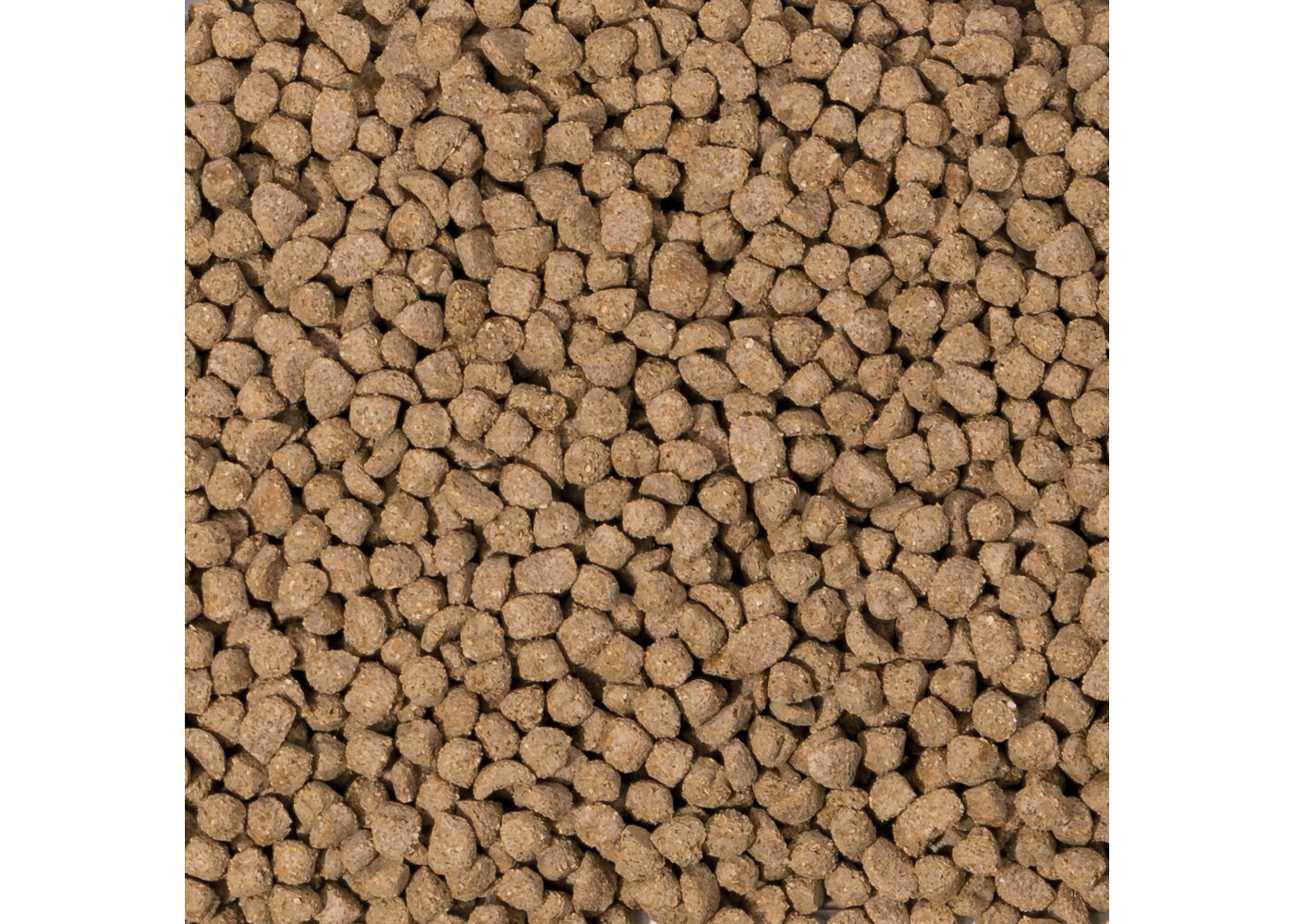 Beaphar Beaphar Care+ Gerbillo e Topo 700 g