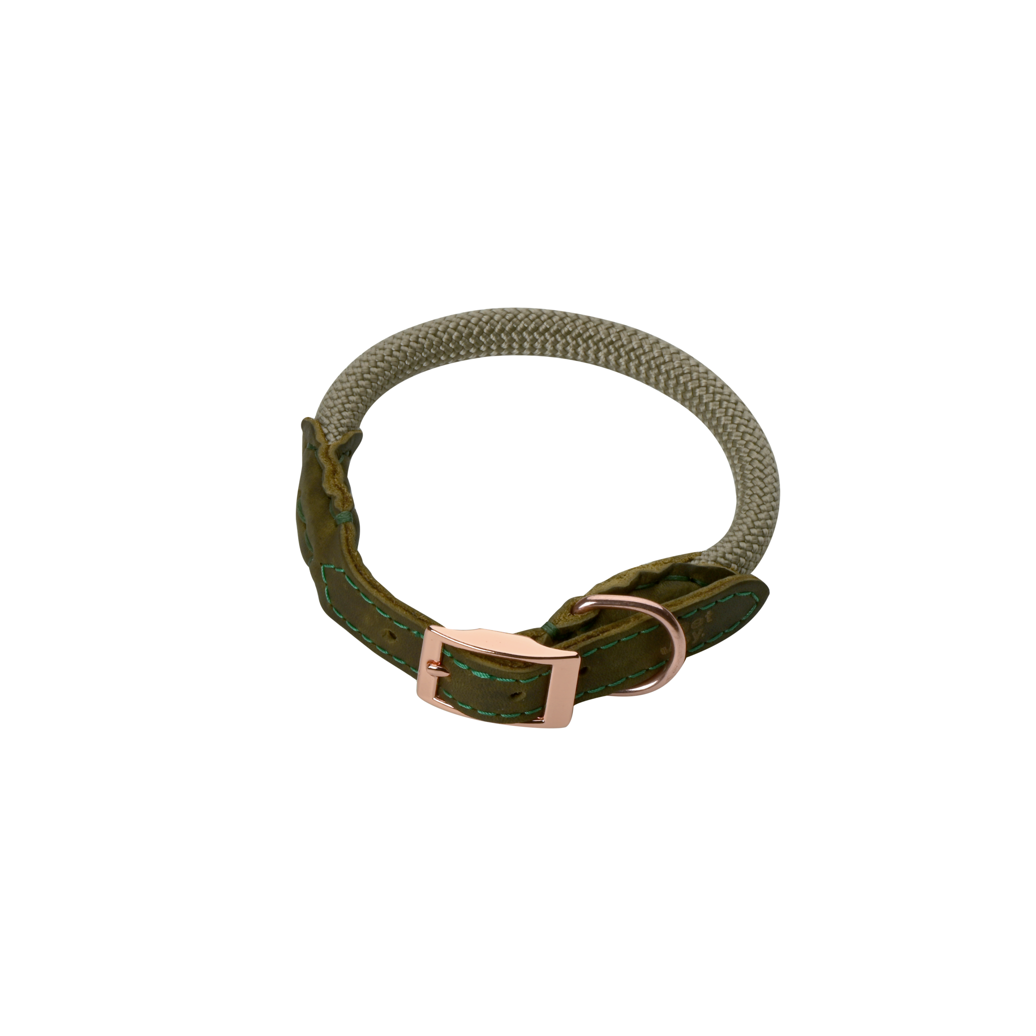 Pet-Joy Pet-Joy The DoggyWalker Collare Tan Green