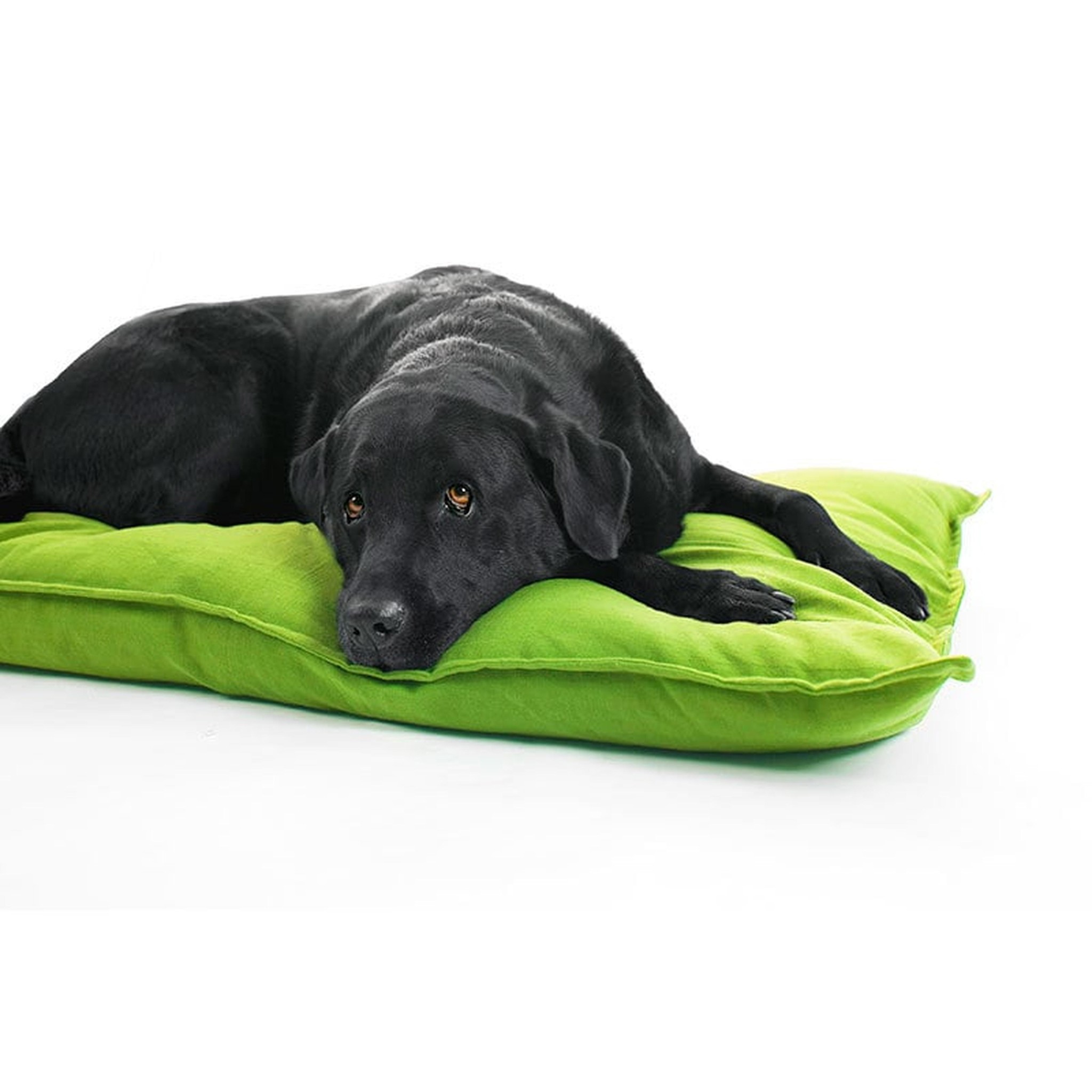 Kussen Tivoli 100 x 70 cm. Lime - Lex en Max