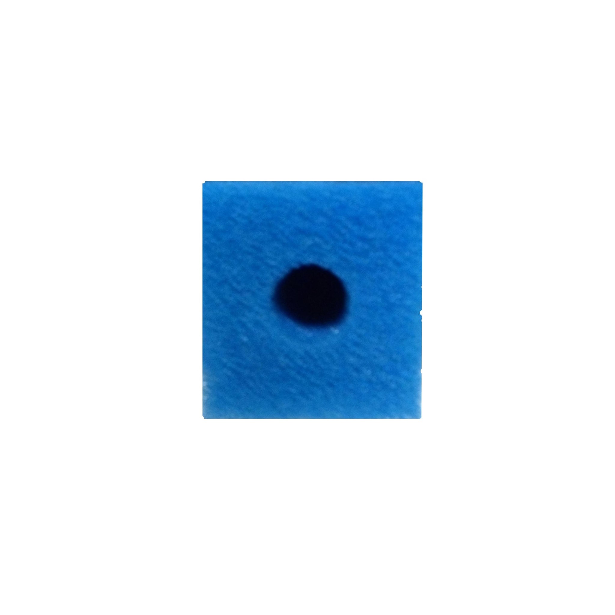 Filterpatroon 9.5 x 9.5 x 50 met gat