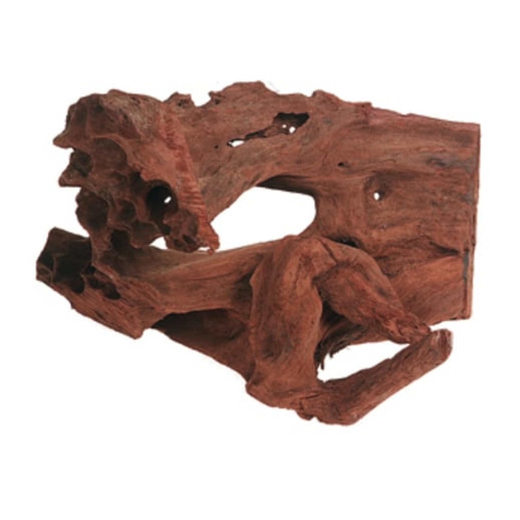 Driftwood - L - ca. 45 cm - Aquarium decoratie