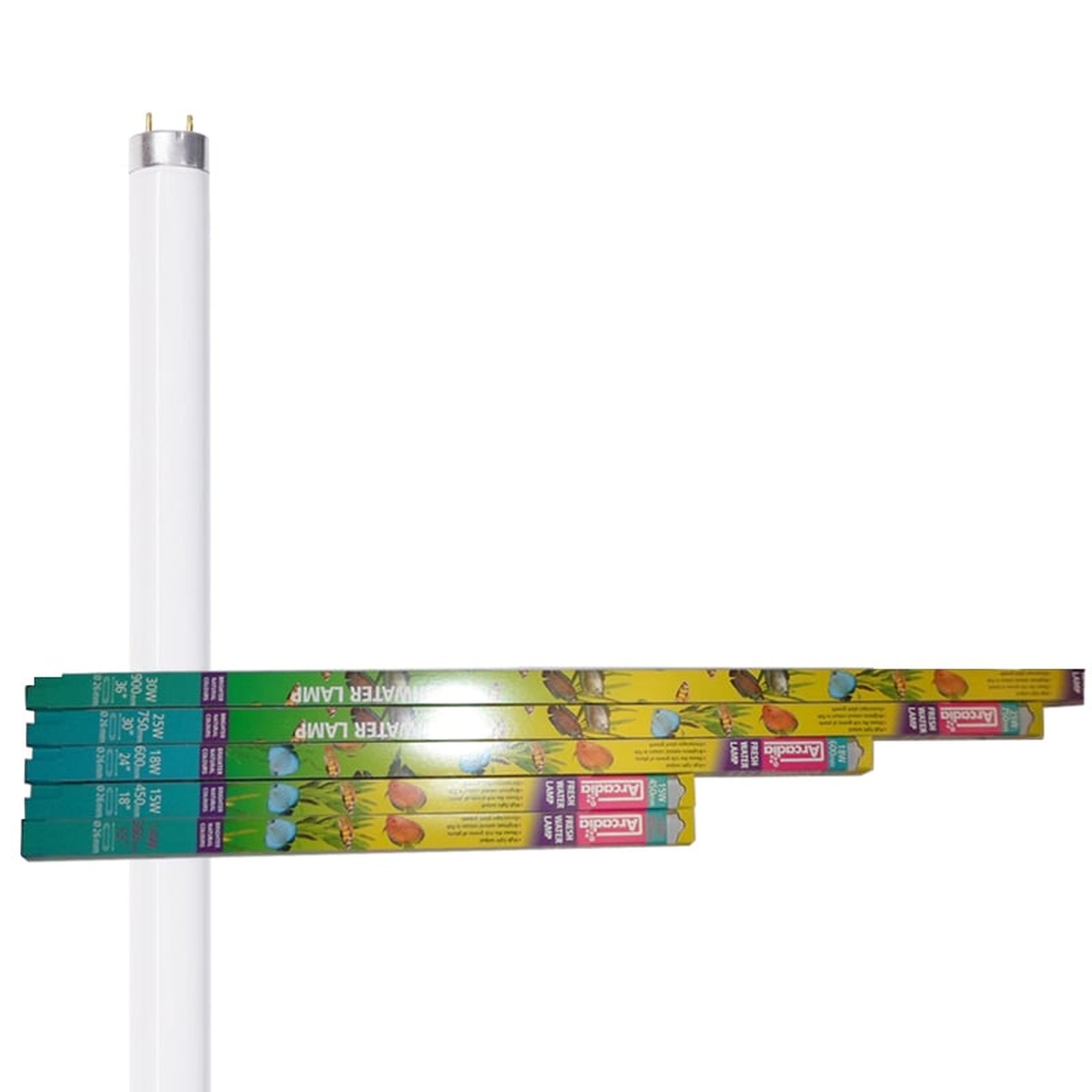 Freshwaterlamp 8 watt - 30 cm.