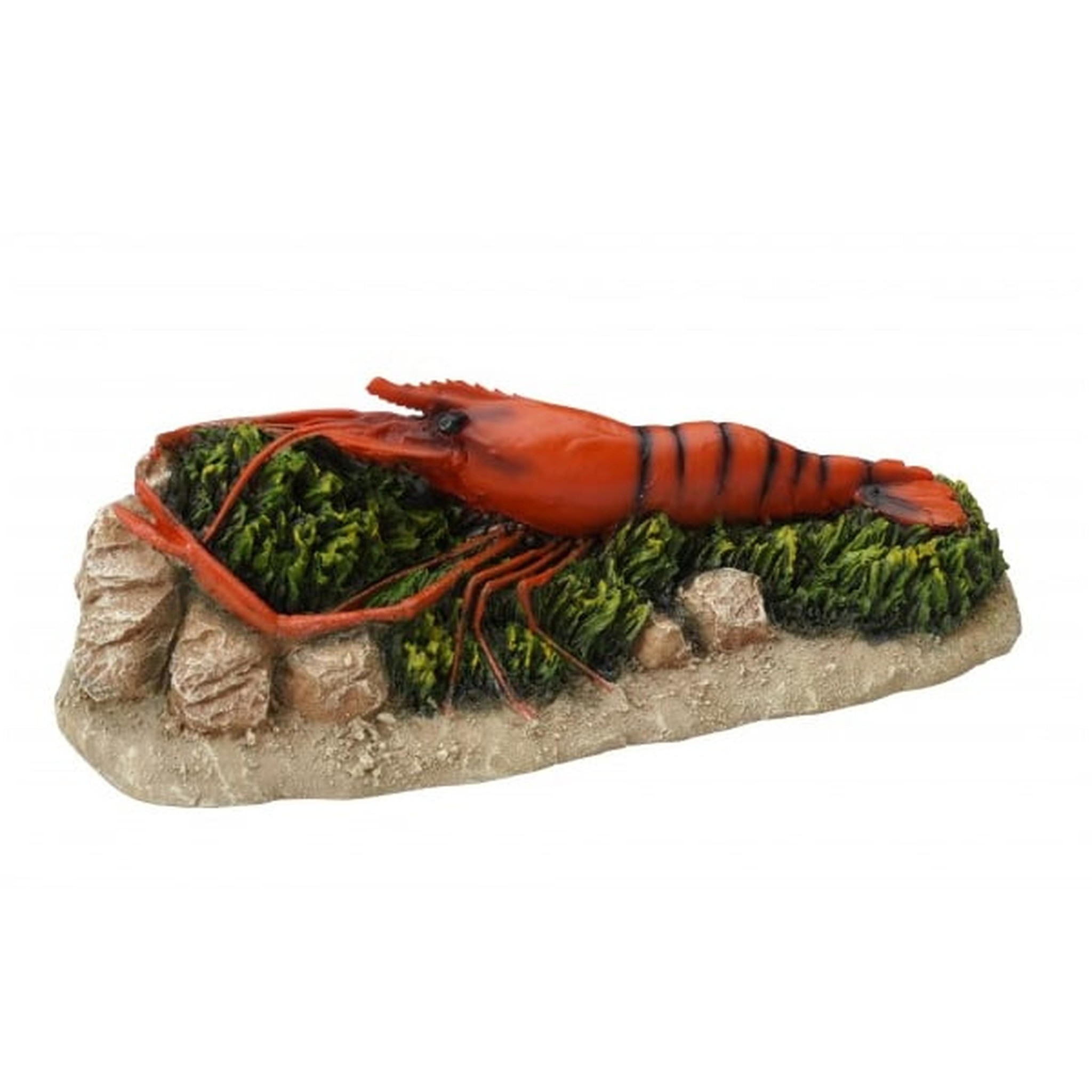 Aqua Della orange shrimp - Aquarium Decoratie Garnaal