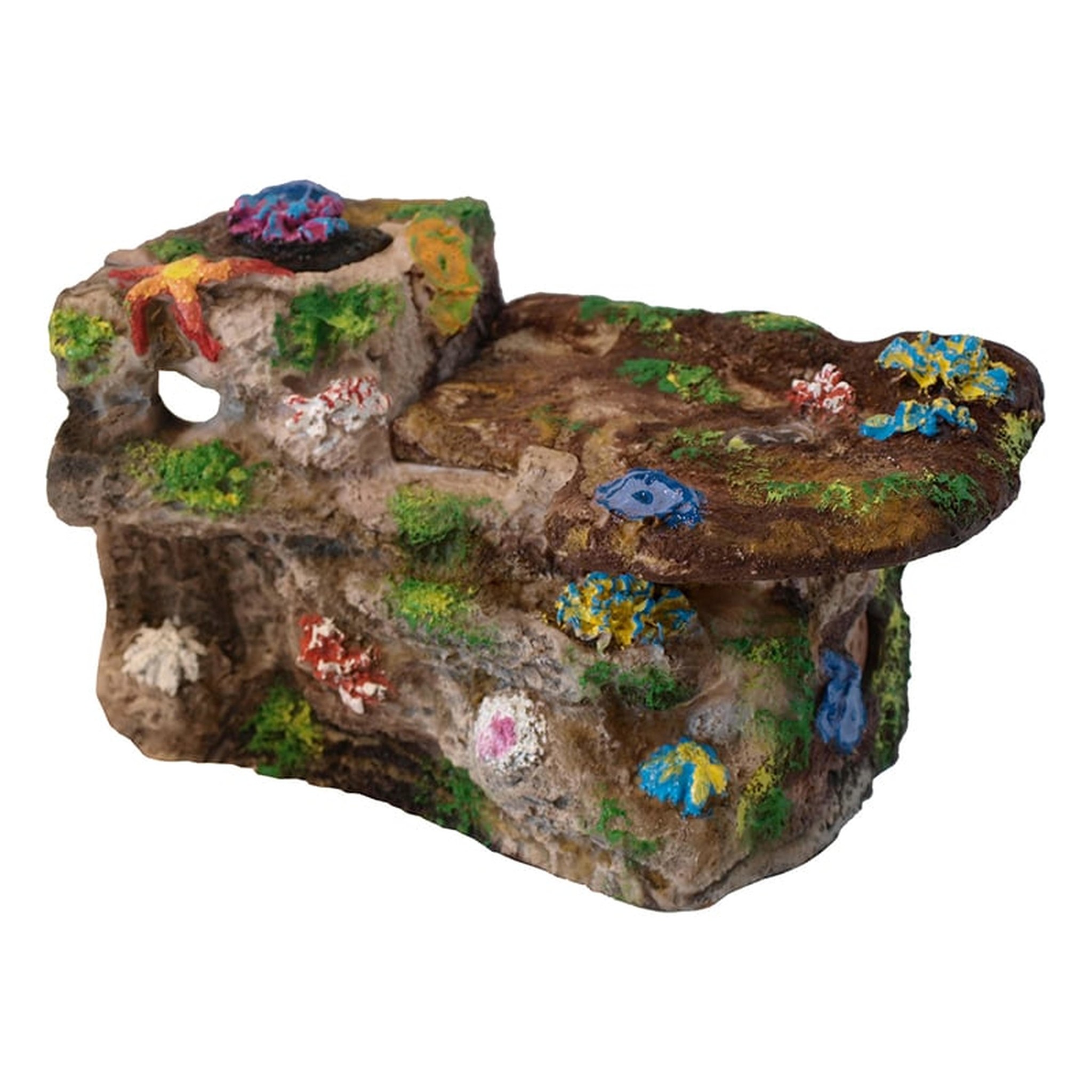 Aquarium terras Koraal - aquarium decoratie
