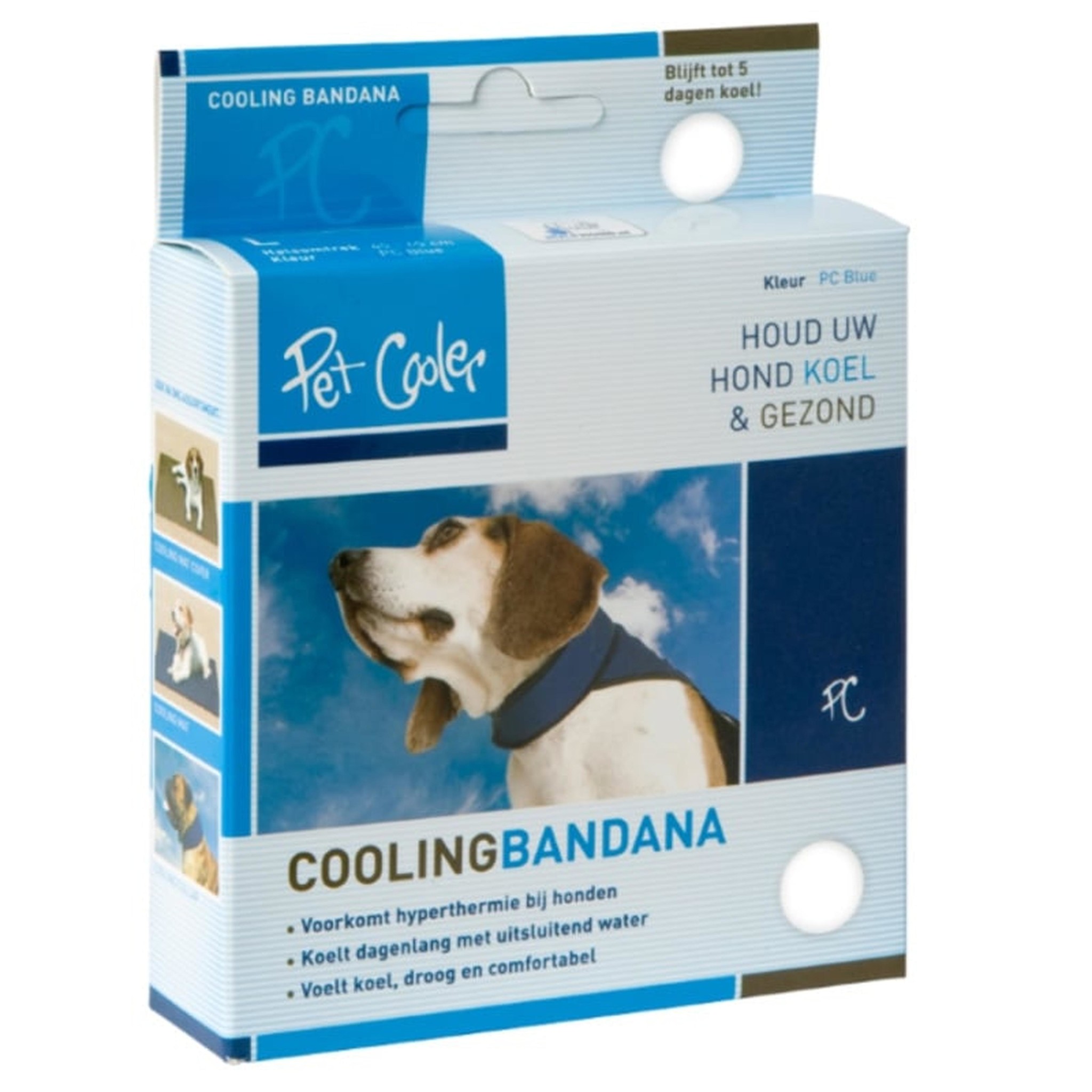 Bandana M - verkoeling hond