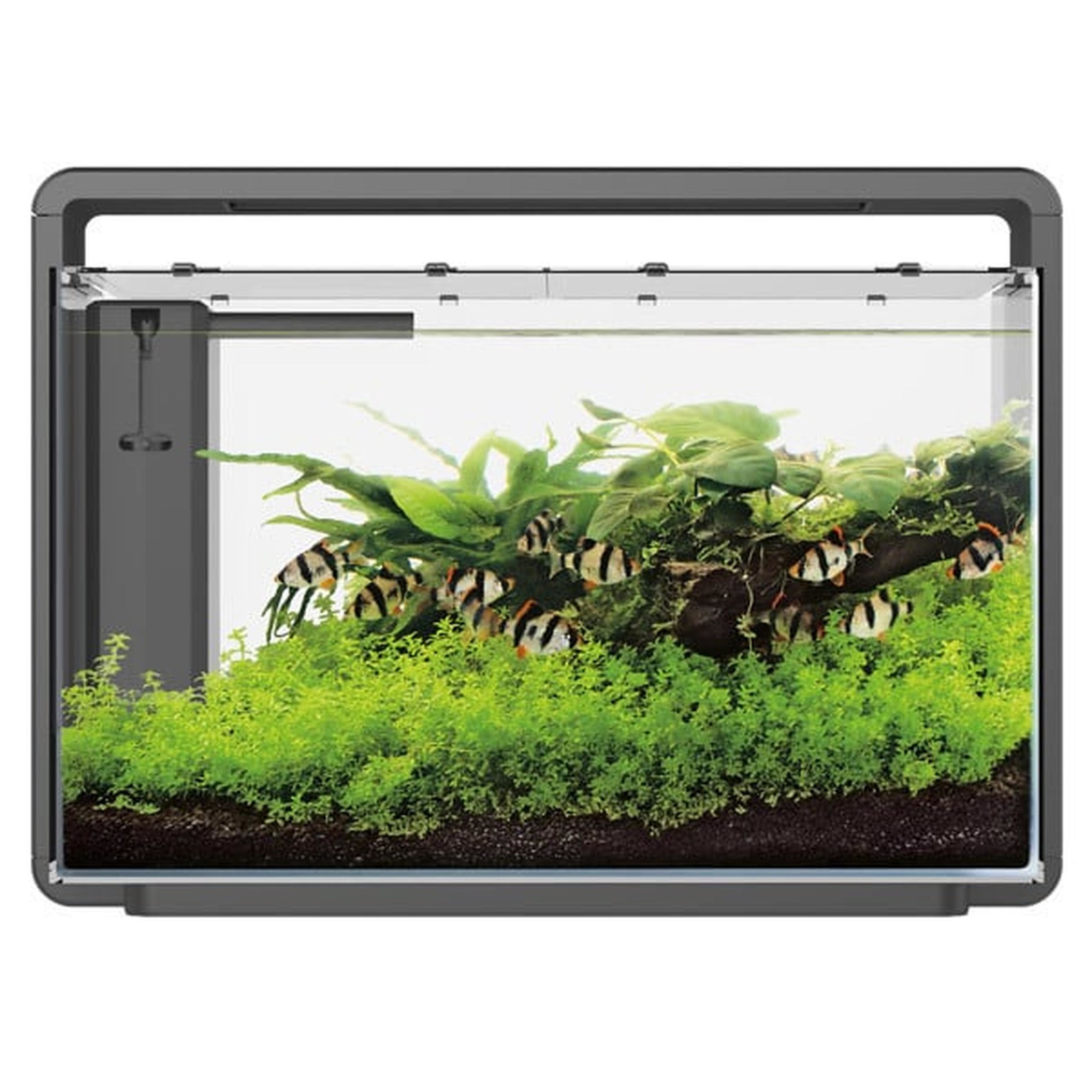 Home 65 aquarium zwart - SuperFish