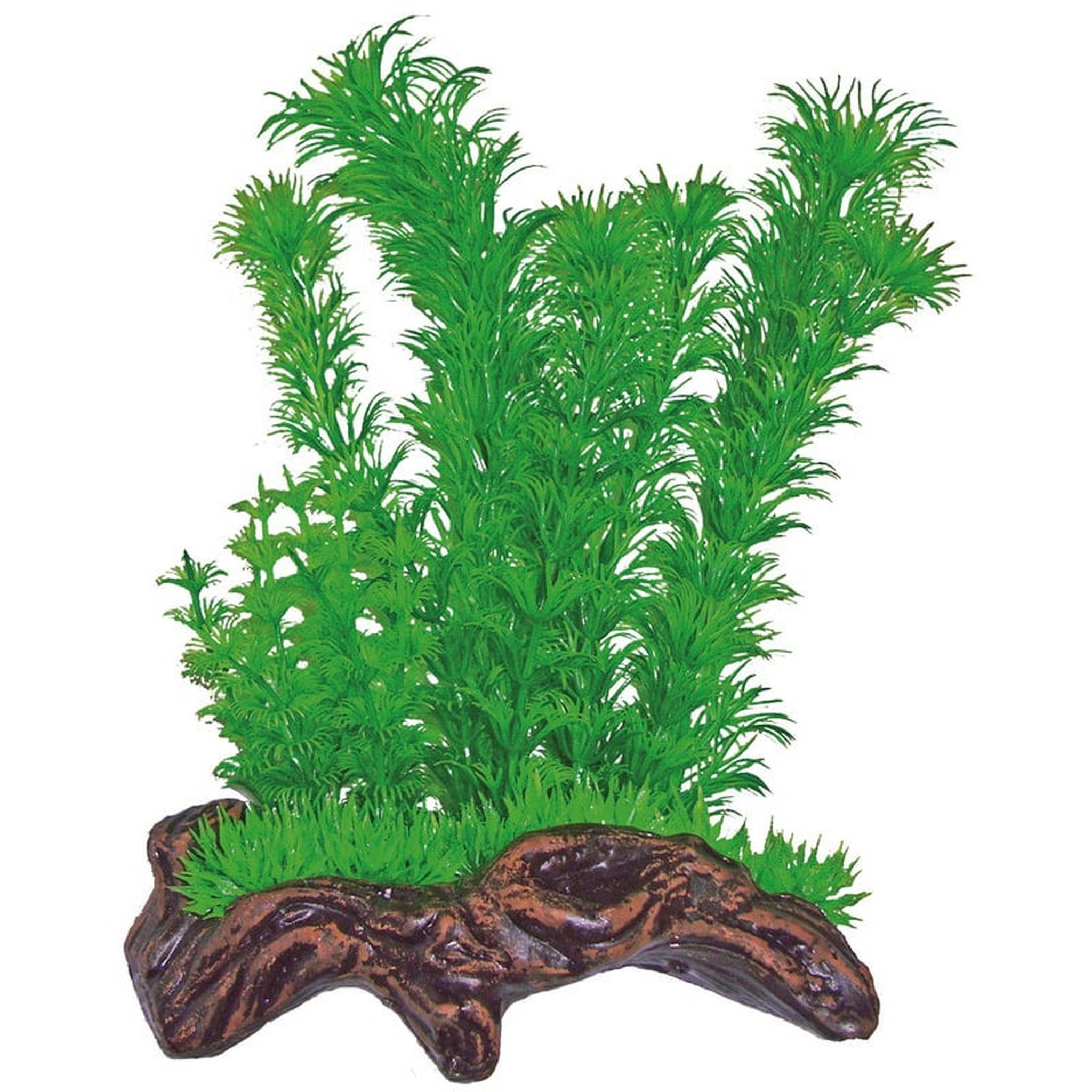 Nano wood garden nr. 1 - SuperFish Aquarium Decoratie