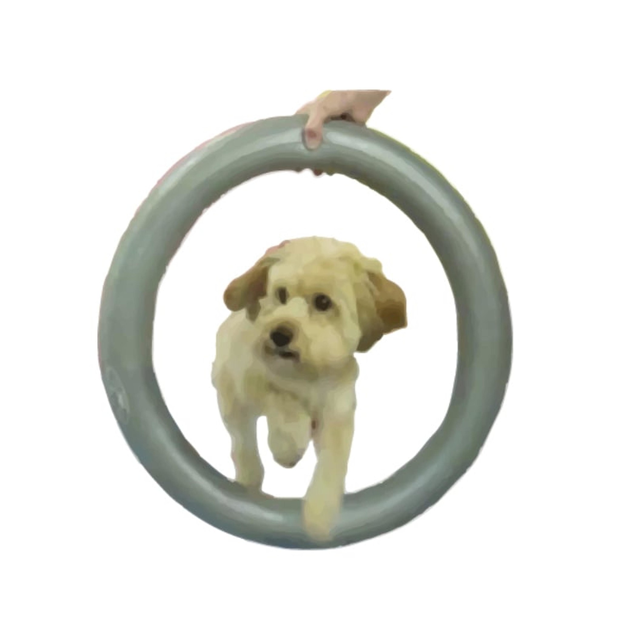 FitPAWS Donut Holder - Behendigheid Hond