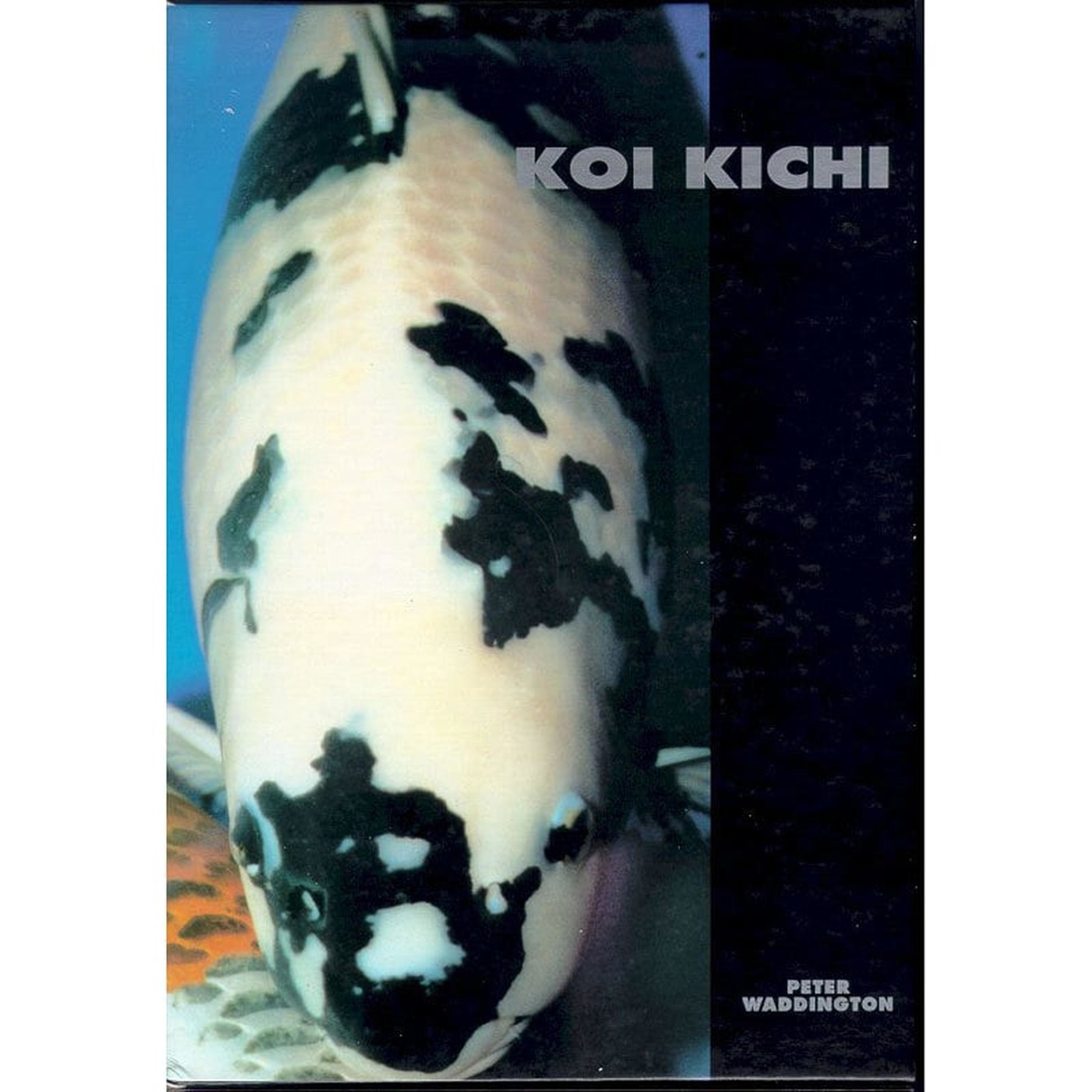 Koi Kichi - Peter Waddington