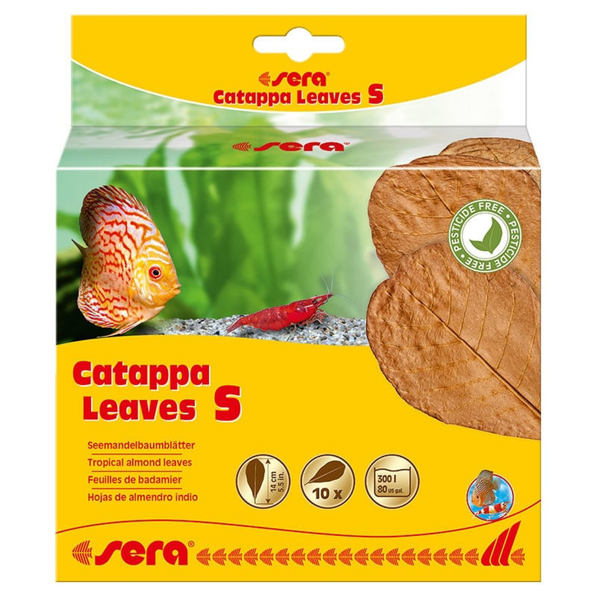 Sera Catappa Leaves S 14 cm