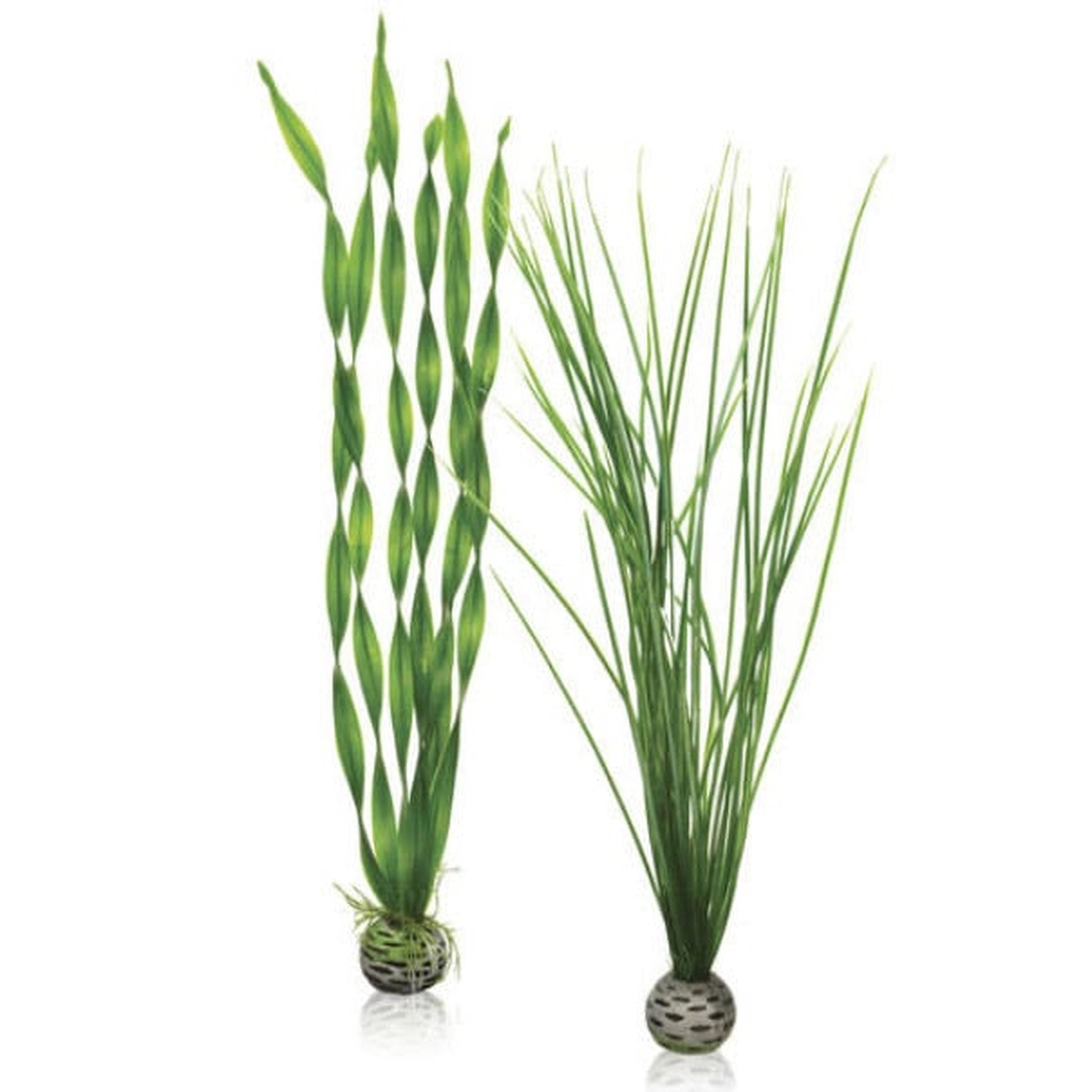 biOrb plantenset groot groen - Oase Aquarium decoratie