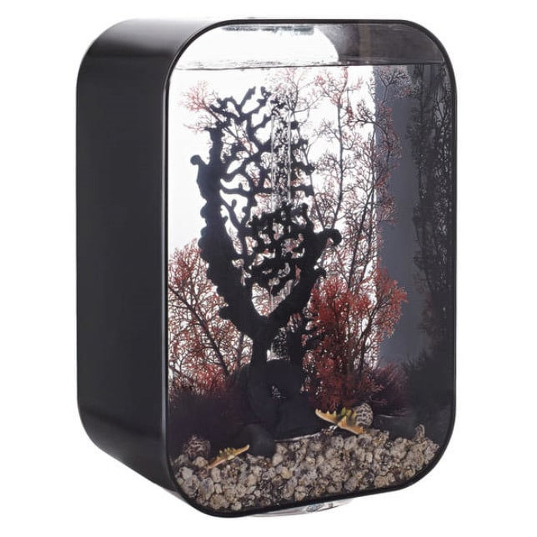 biOrb LIFE 45 MCR zwart - Oase Aquarium