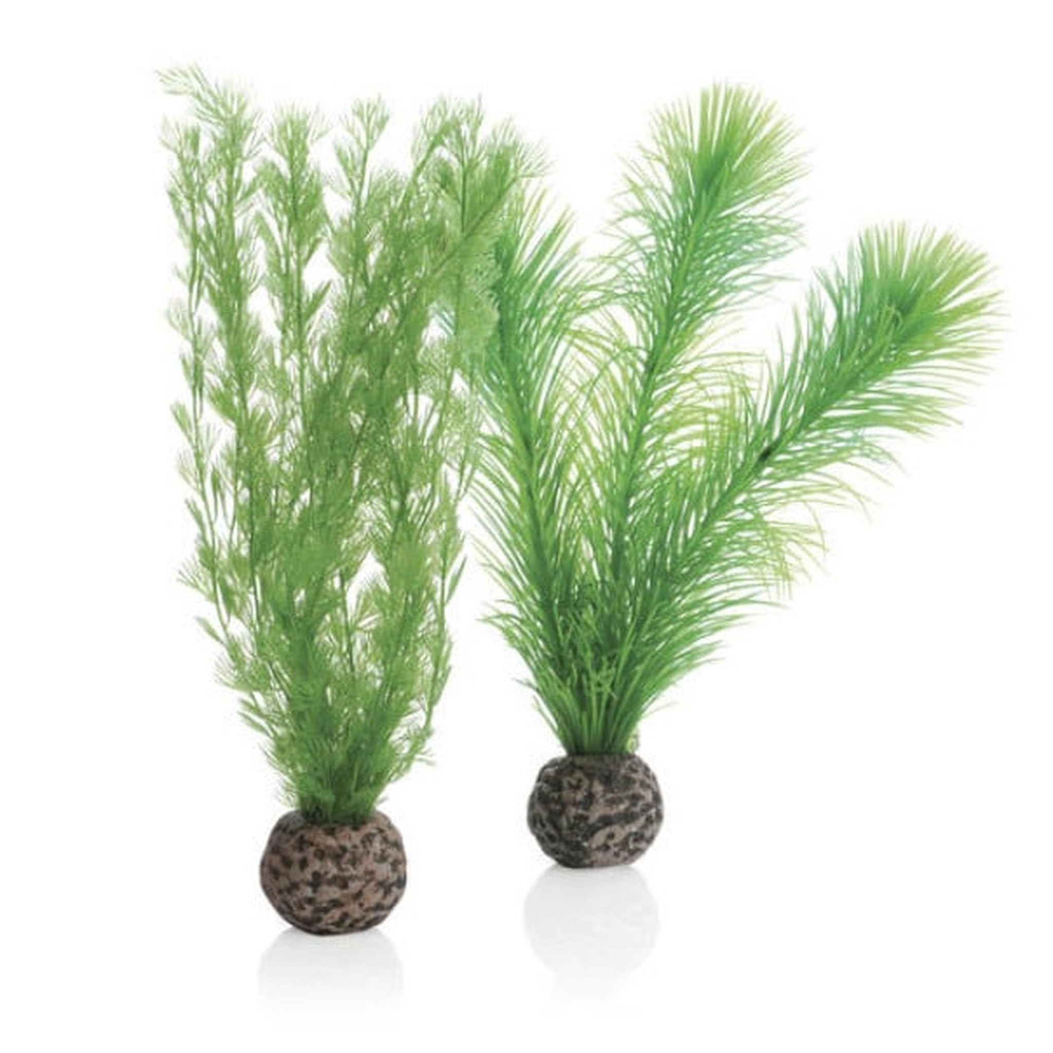 biOrb mannetjesvaren set klein groen - Aquarium decoratie
