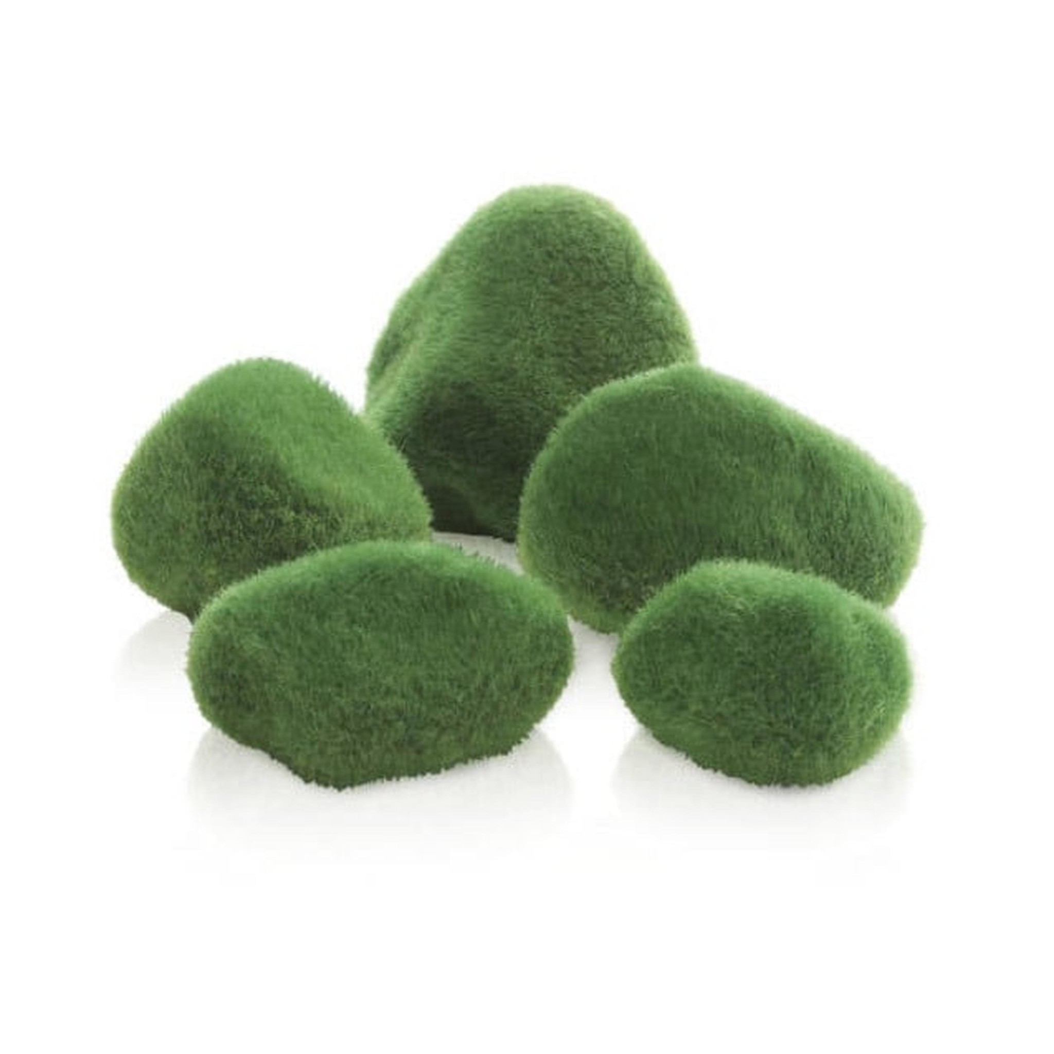 biOrb moskiezel set - Oase Aquarium decoratie