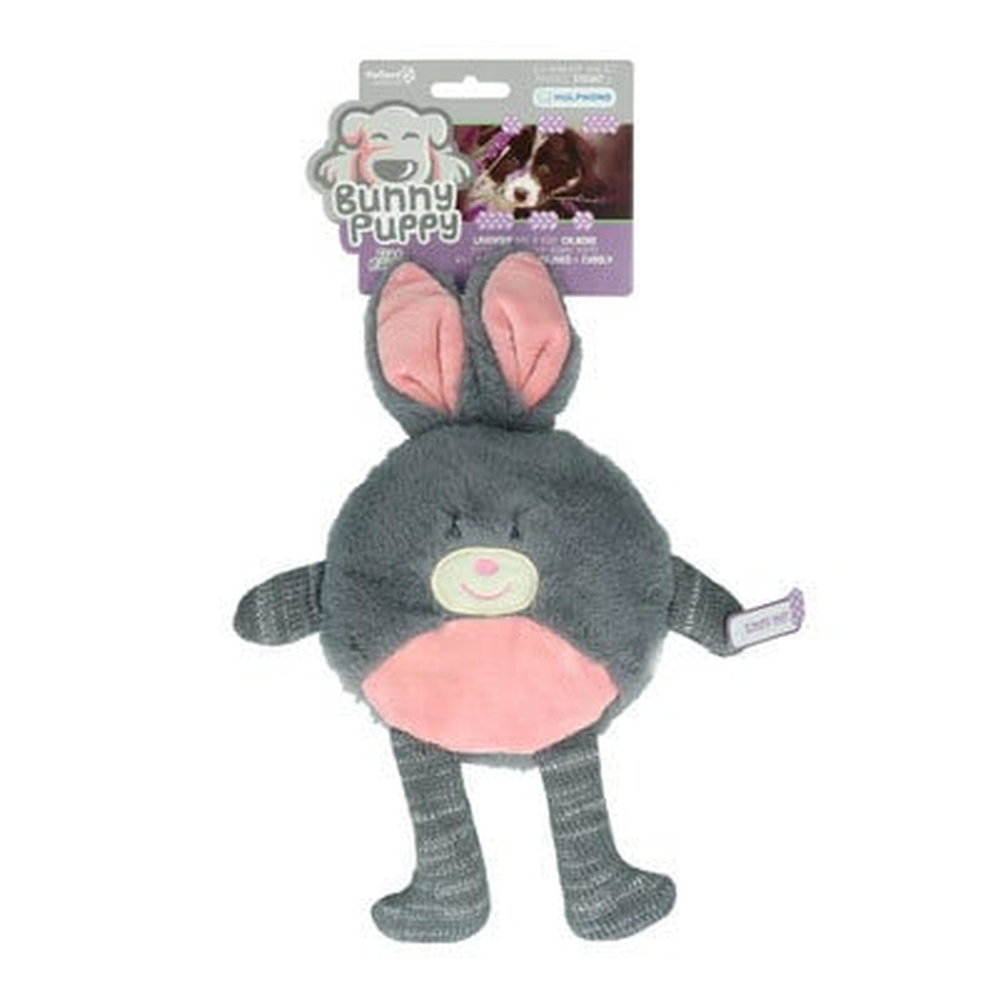 Bunny Puppy Flat Rabbit