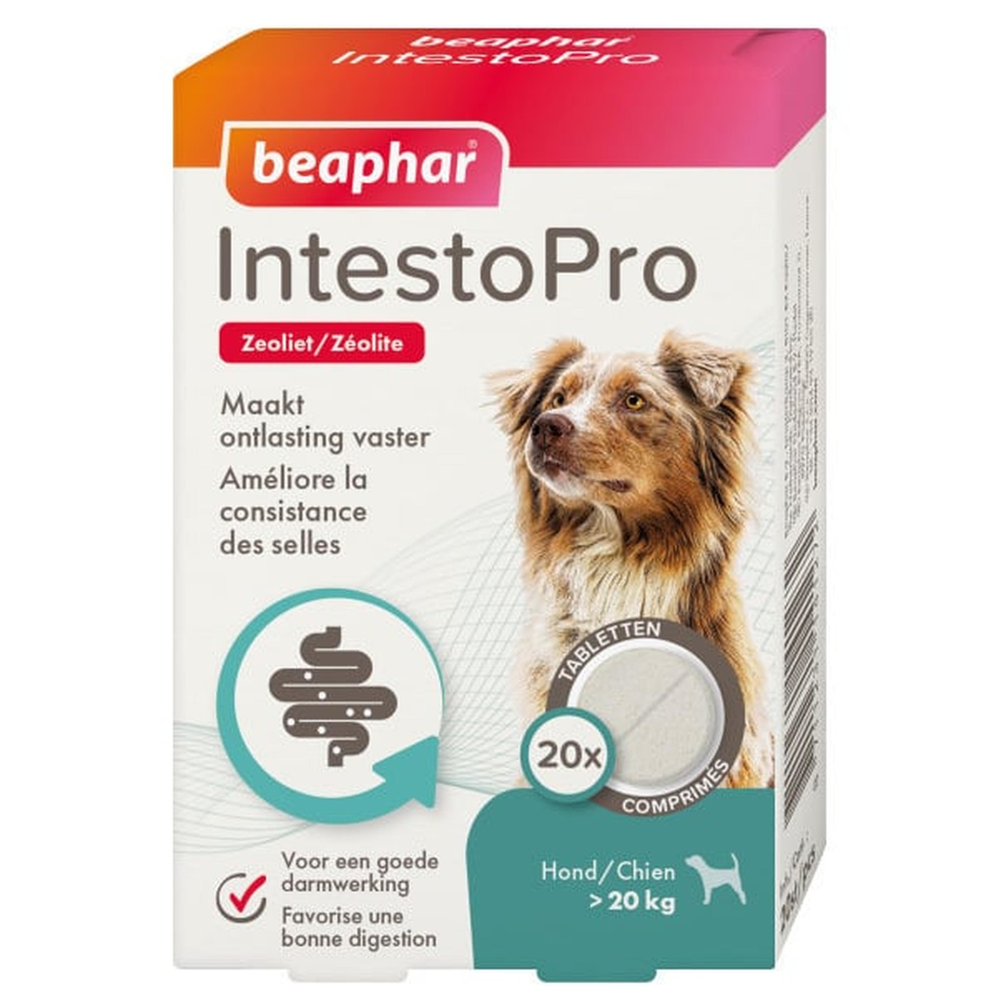 IntestoPro Tabletten Hond vanaf 20 kg - Beaphar