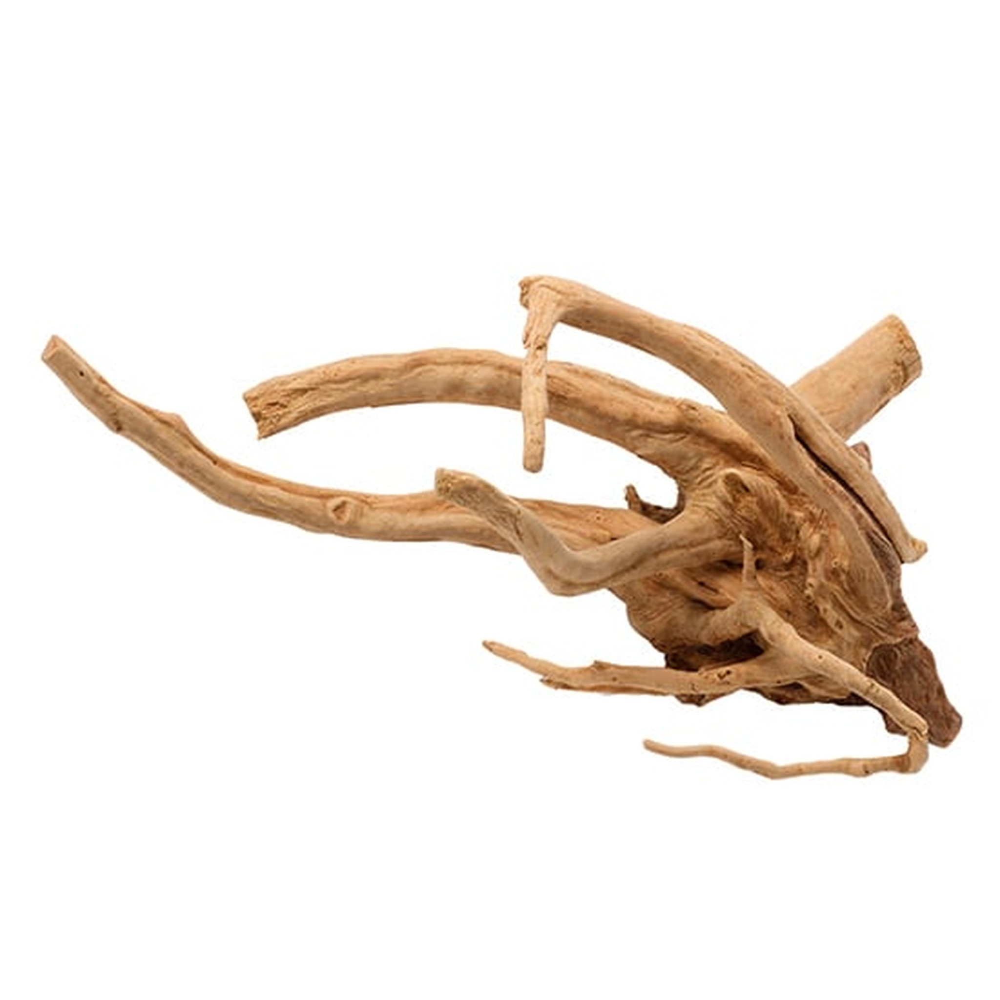 Driftwood gepolijst Small