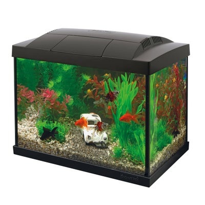 Start 20 Goldfish kit aquarium Zwart - SuperFish