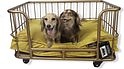 Lex & Max Metal Wire Basket - Hondendivan - 90x65cm - Goud