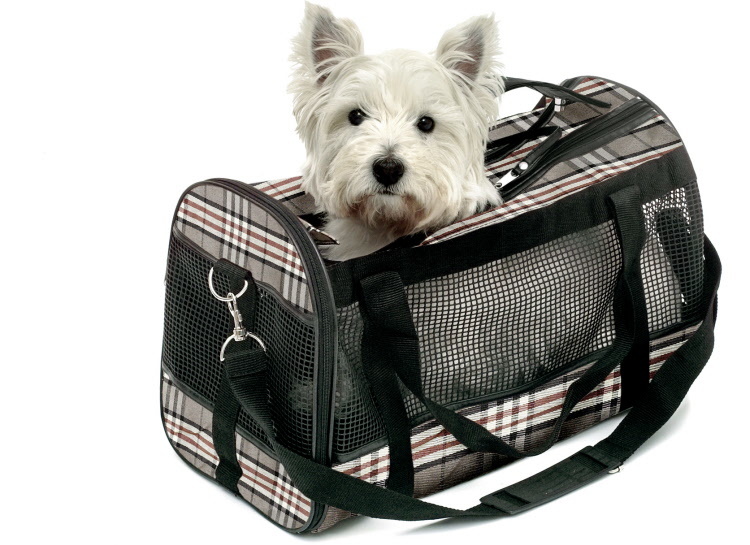 Draagtas Mayfair M - Honden draagtas