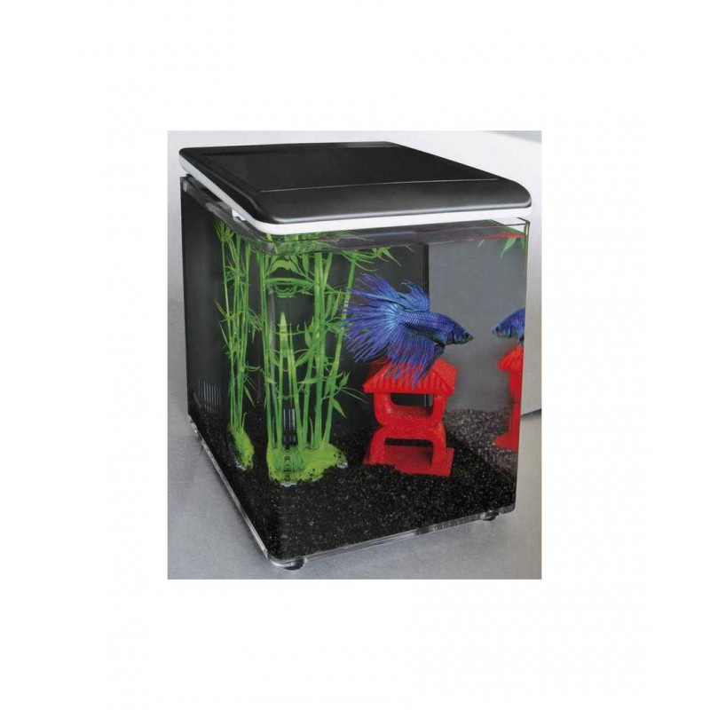 Betta 8 aquarium Superfish - Aquarium