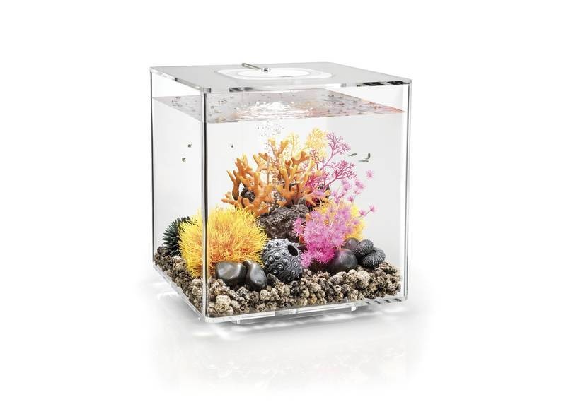 biOrb Cube 30 Wit- Oase Aquarium