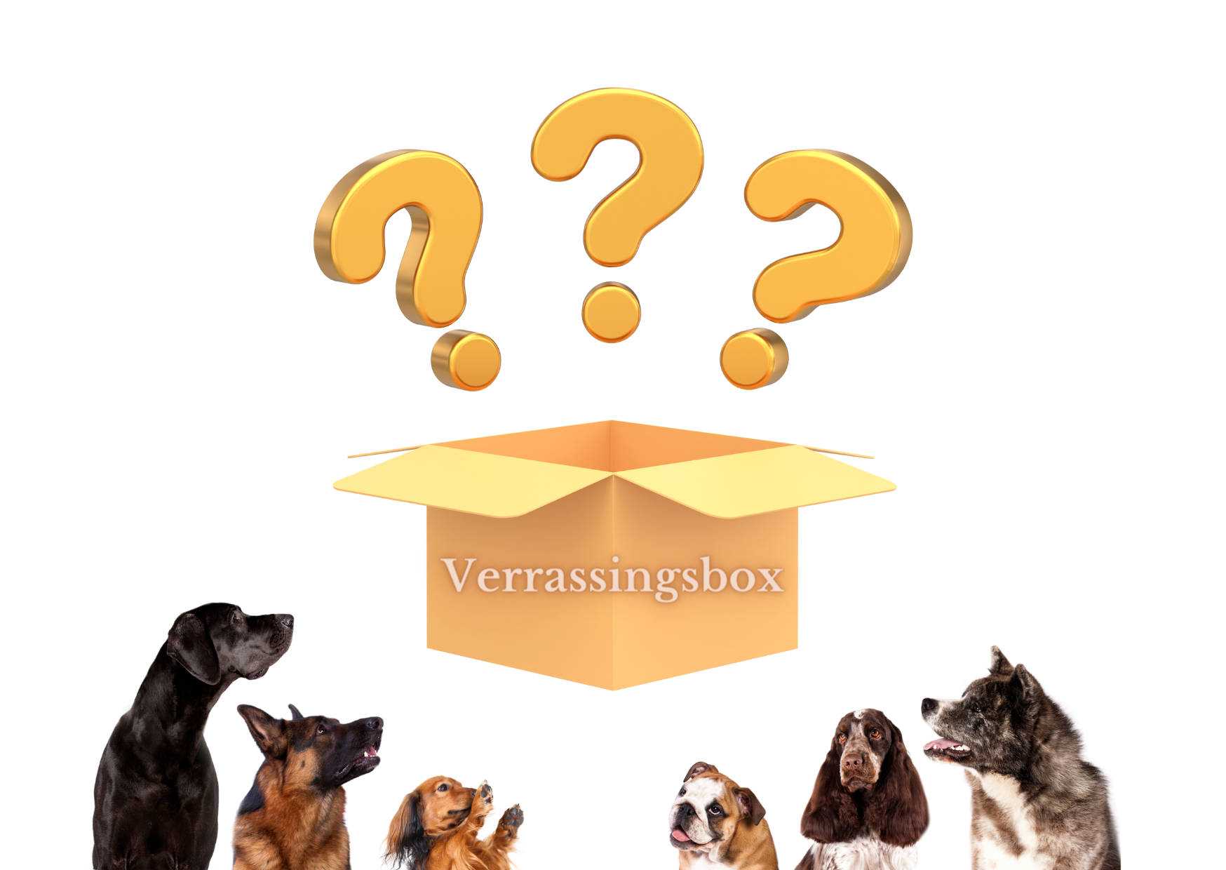Verrassingsbox honden