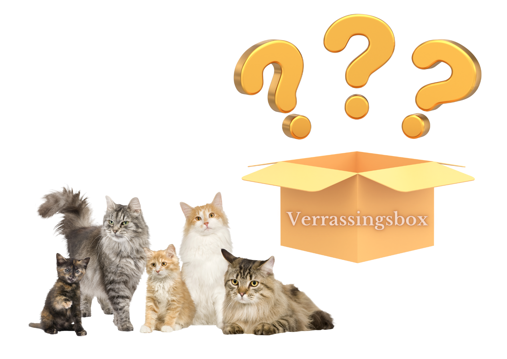 Verrassingsbox katten