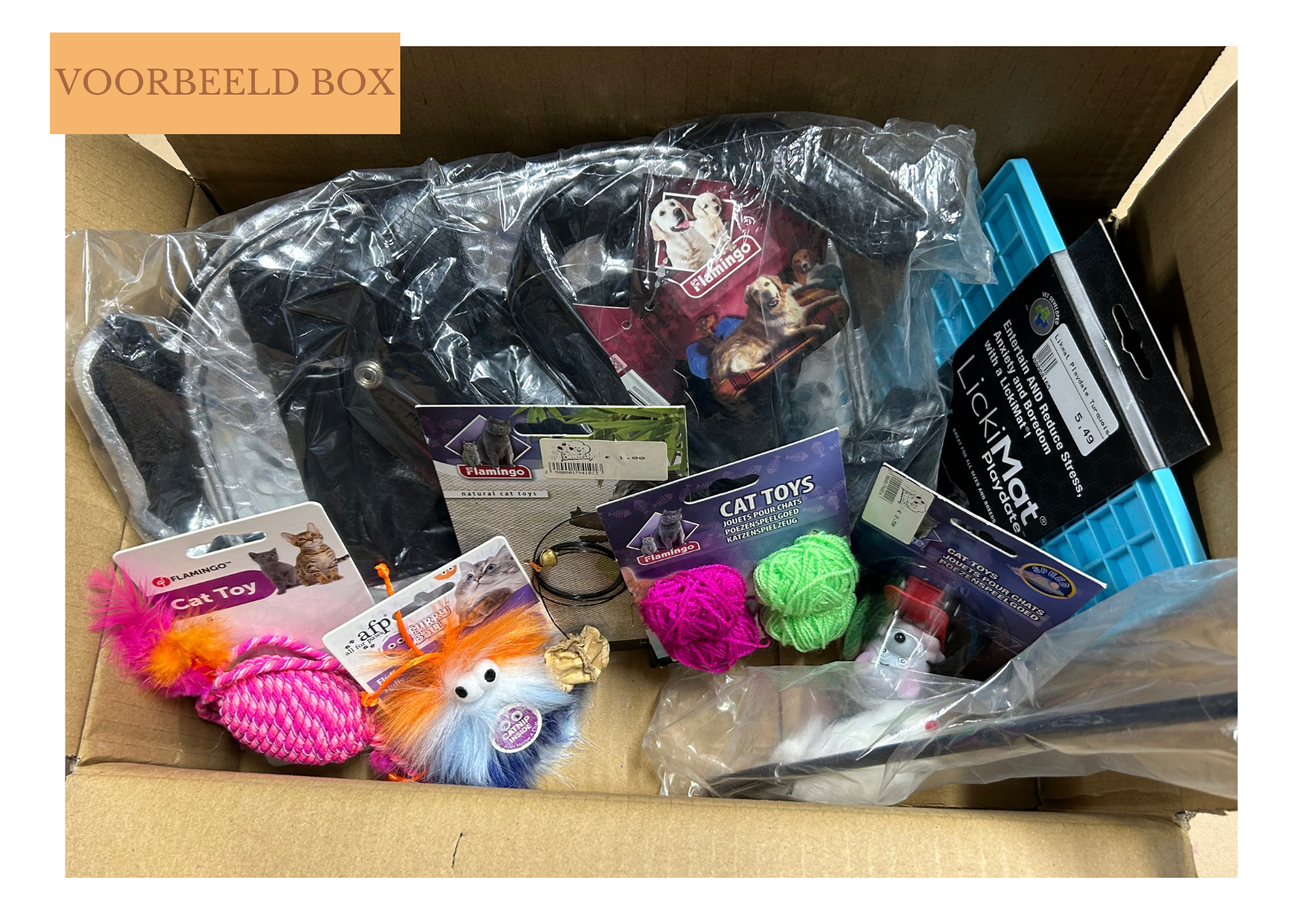 Verrassingsbox katten