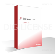 Microsoft SQL Server 2014 User CAL - 1 utente -  Licenza perpetua - Licenza business (usato)