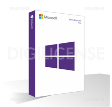 Windows 10 Professional - 1 dispositivo -  Perpétua - Licença de negócios (usado)