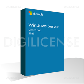 Microsoft Windows Server 2022 Device CAL - 1 dispositivo -  Licenza perpetua - Licenza business (pre-owned)
