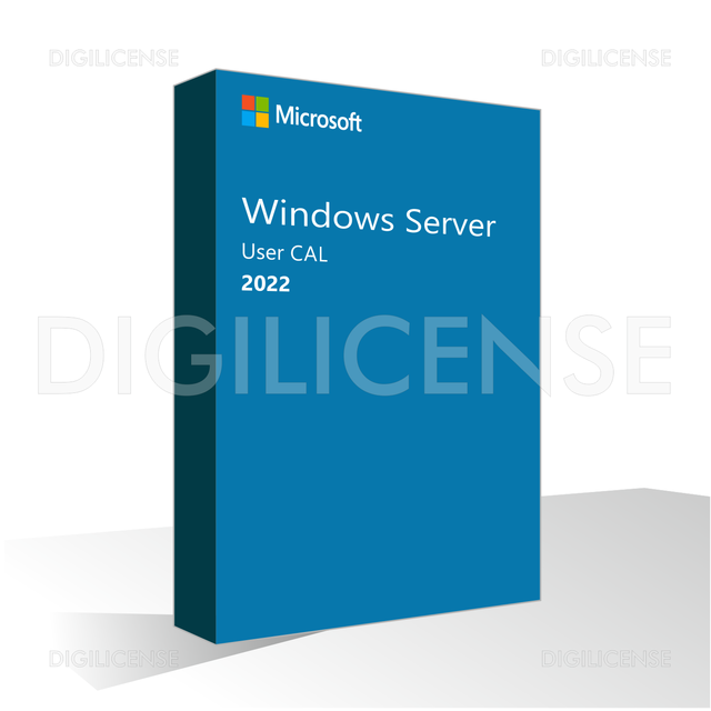 Microsoft Windows Server 2022 User CAL - 1 gebruiker -  Eeuwigdurend - Zakelijke licentie (pre-owned)