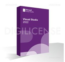 Microsoft Visual Studio 2022 Professional - 1 dispositivo -  Licenza perpetua - Licenza business (usato)