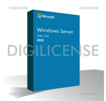 Microsoft Windows Server 2025 User CAL - 1 dispositivo -  Licenza perpetua - Licenza business (usato)