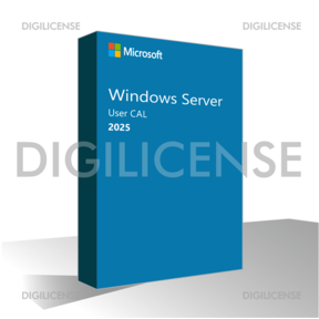 Microsoft Windows Server 2025 User CAL - 1 Gerät -  Unbefristete Lizenz - Geschäftslizenz (gebraucht)