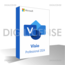 Microsoft Microsoft Visio 2024 Professional - 1 device -  Perpetual license - Business license (pre-owned)