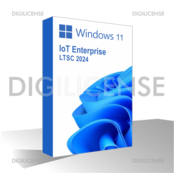Windows 11 IoT  Enterprise LTSC 2024 - 1 dispositivo -  Licenza perpetua - Licenza business (usato)