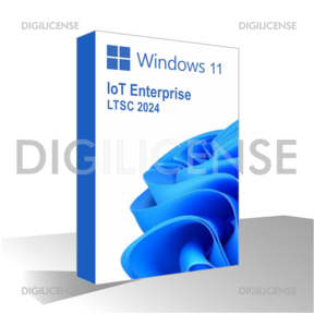 Windows 11 IoT  Enterprise LTSC 2024 - 1 dispositivo -  Licenza perpetua - Licenza business (pre-owned)