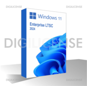 Windows 11 Enterprise LTSC 2024 - 1 appareil -  perpétuelle - Licence Retail (prédétenue)
