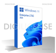 Windows 11 Enterprise LTSC 2024 - 1 device -  Perpetual license - Business license (pre-owned)
