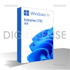 Windows 11 Enterprise LTSC 2024 - 1 dispositivo -  Licenza perpetua - Licenza business (pre-owned)