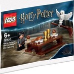 LEGO Harry Potter en Hedwig uilenpost 30420