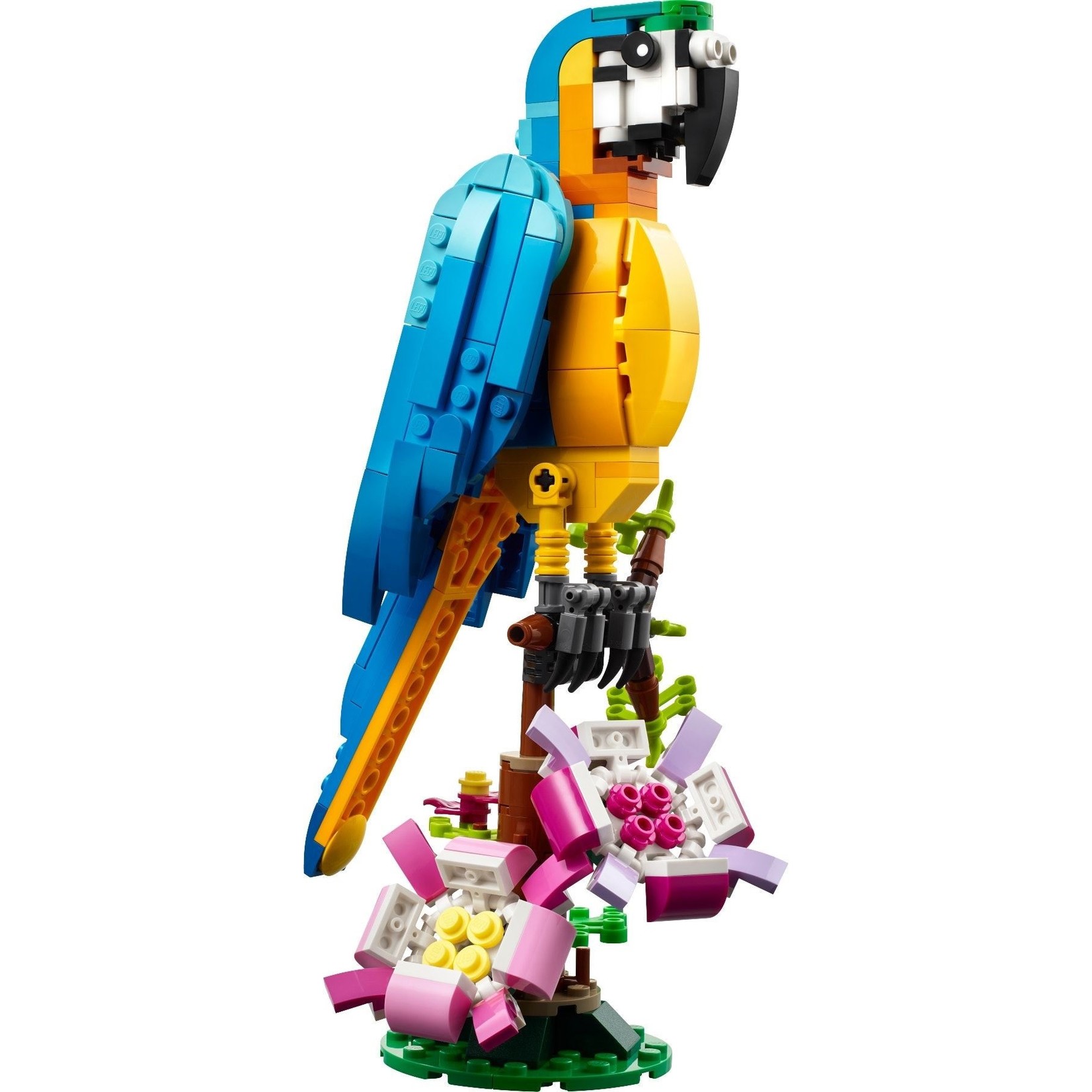 LEGO Exotische dierenbundel